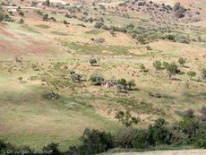 Sizilien (150 von 565).jpg